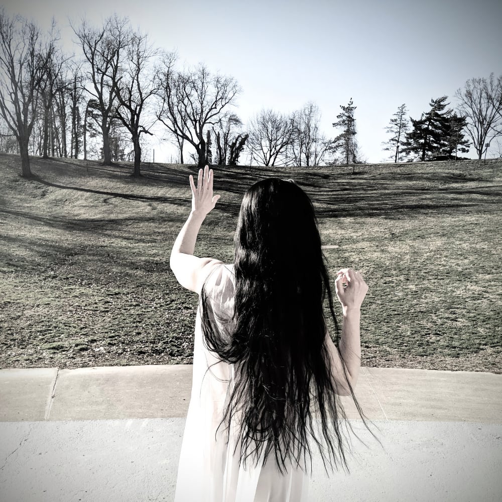 The Protector by Warren Harrison