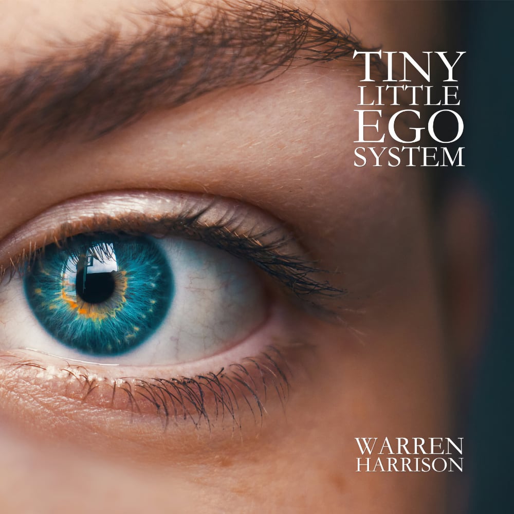 Tiny Little Ego System by Warren Harrison